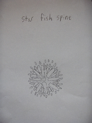 Starfish spine
